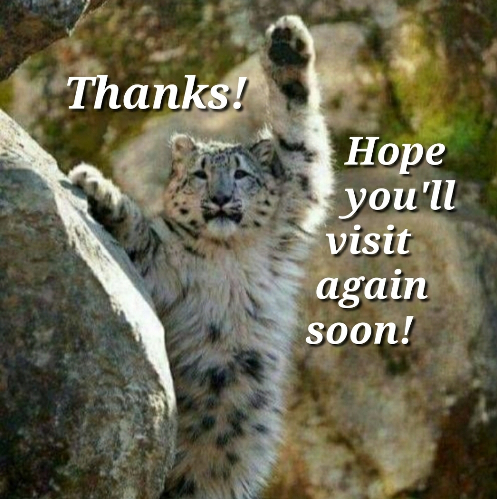 Thanks for stopping by!